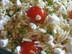 Lemon Orzo Pasta with Goat Cheese and Cherry Toms